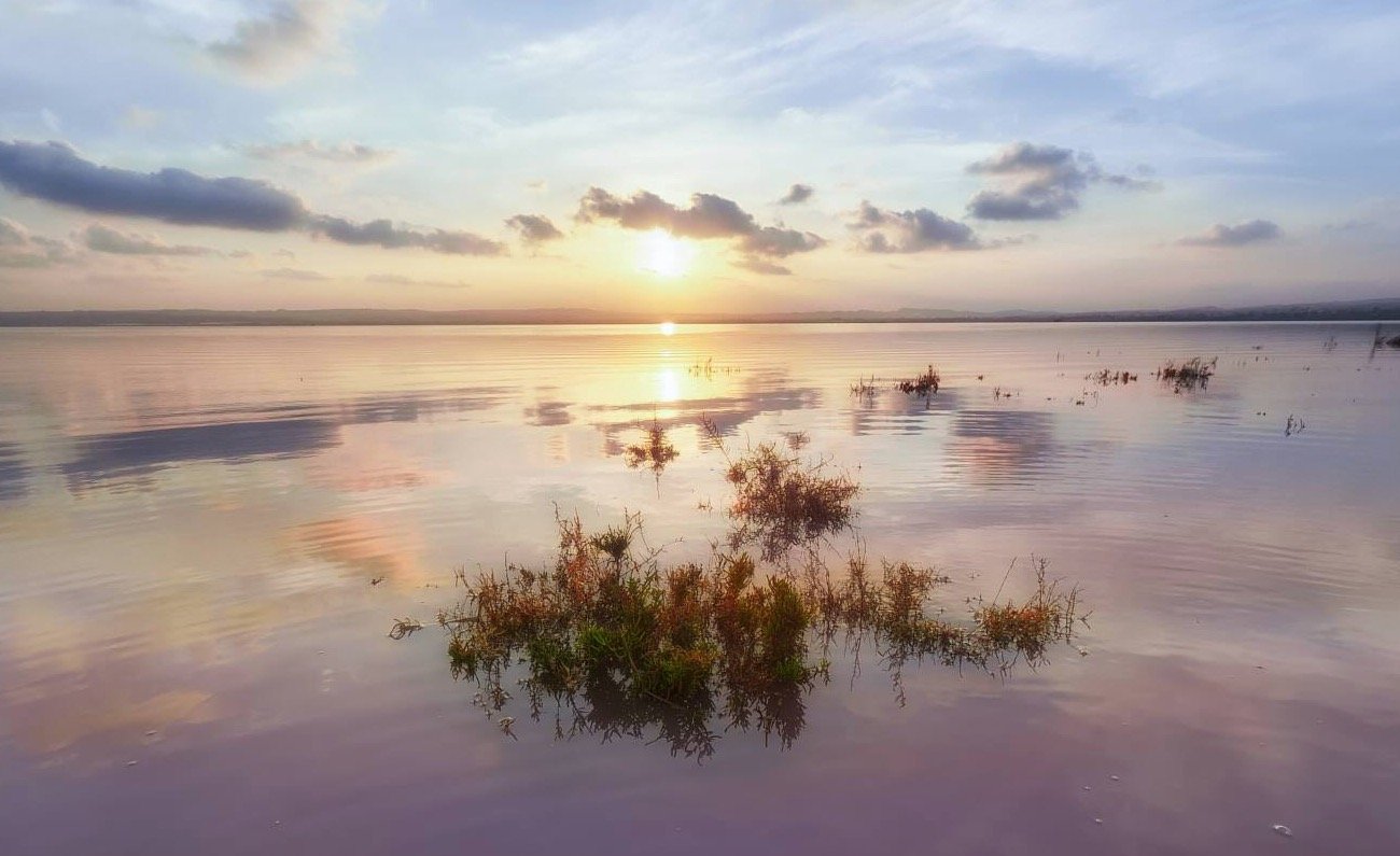 filtros densidad neutra